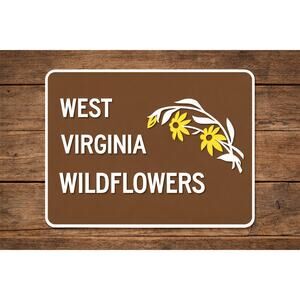 West Virginia Wildflowers Road Sign Highway Freeway Street Interstate Travel